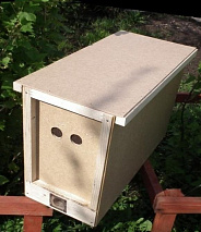 Пчелопакеты и пчело-матки в интернет-магазине Феролайф